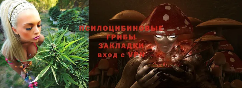 гидра ONION  Лиски  Псилоцибиновые грибы Psilocybe 